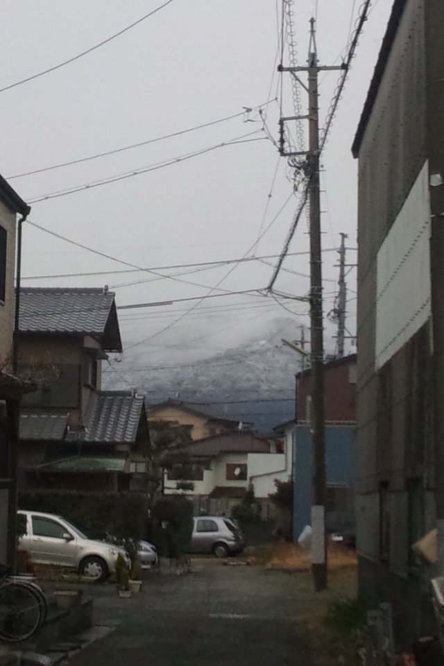 寒い冬